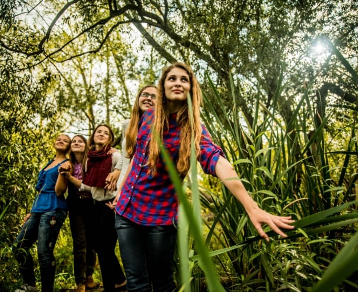 group of friends Five young women exploring marshland